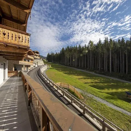 In Neukirchen Near Arena Wildkogel